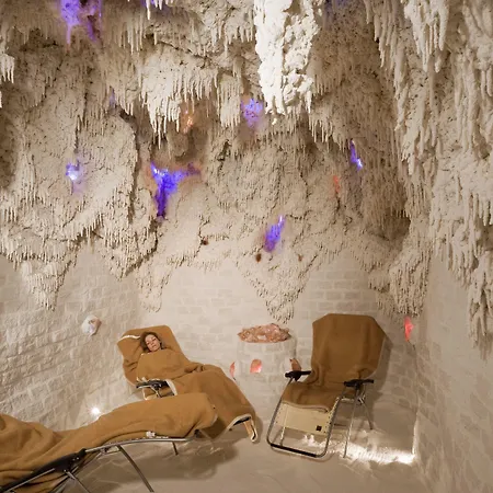 Ensana Thermal ホテル シャールヴァール