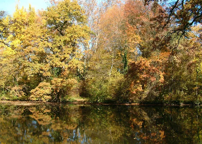 Ensana Thermal Шарвар