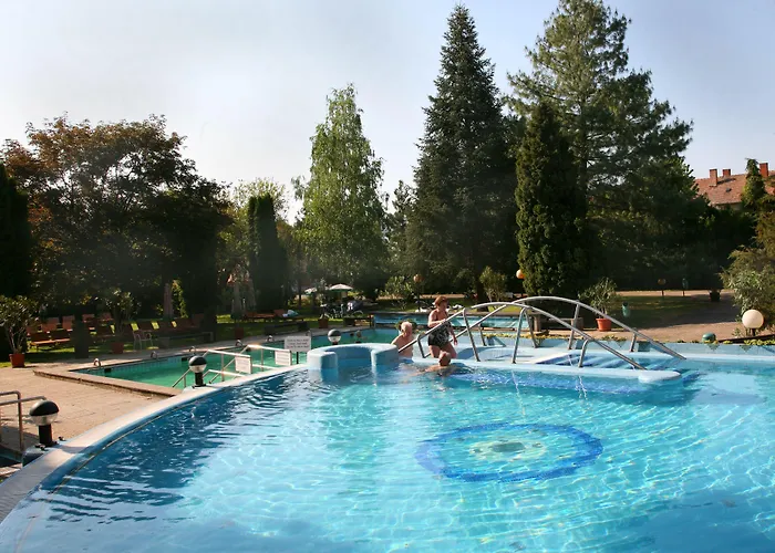Отель Ensana Thermal
